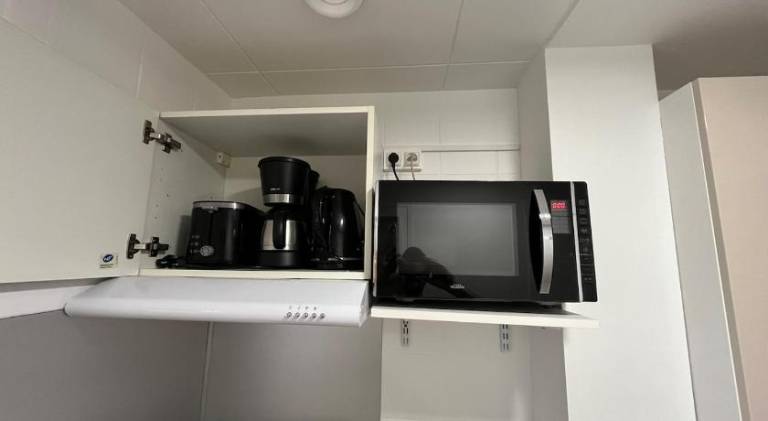 Apartment | Pets are welcome — photo 4