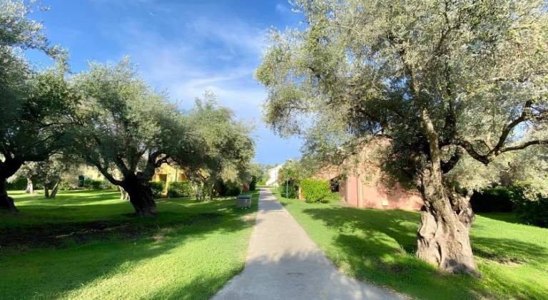 Charming apartment | Pet-friendly in Catanzaro