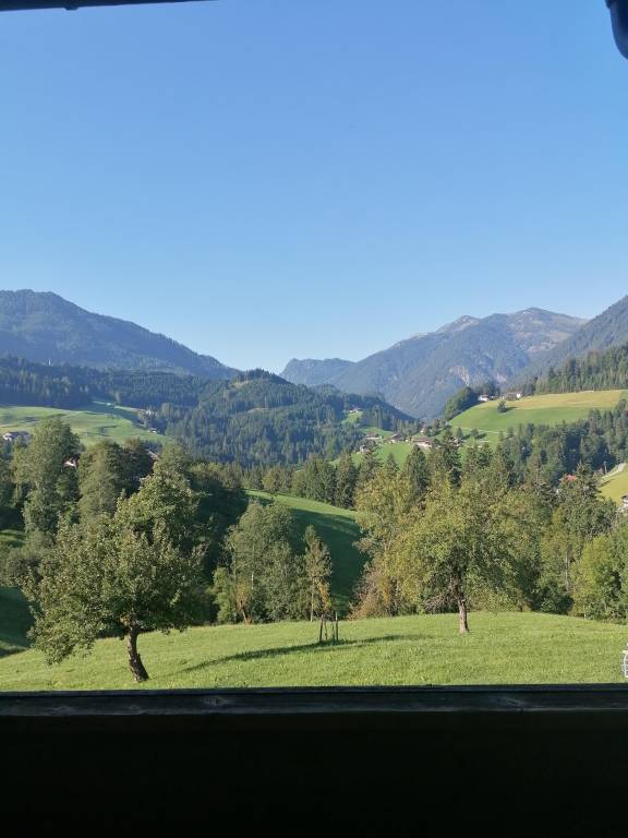 foto49