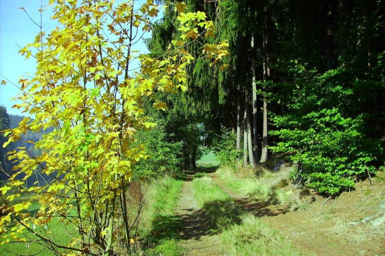 foto29