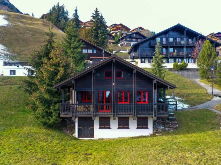 Ferienhaus  Portes du Soleil