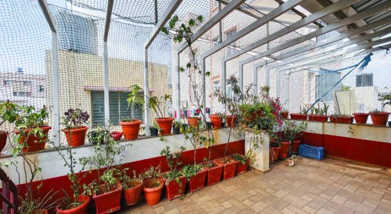 foto5