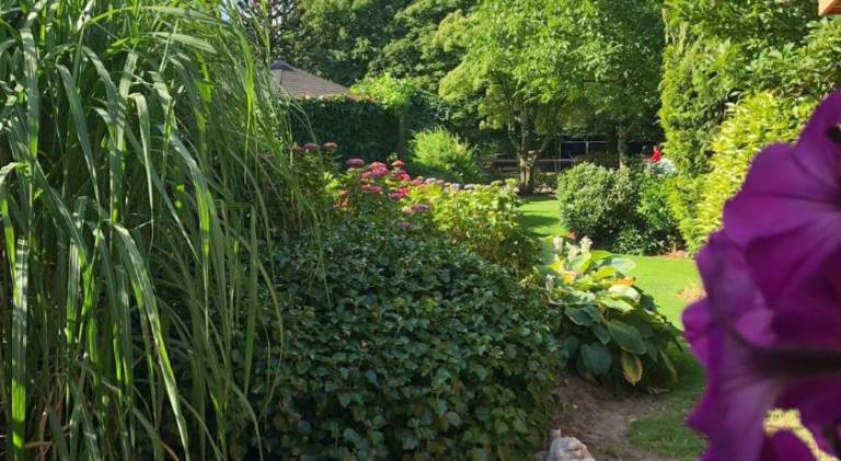 foto32