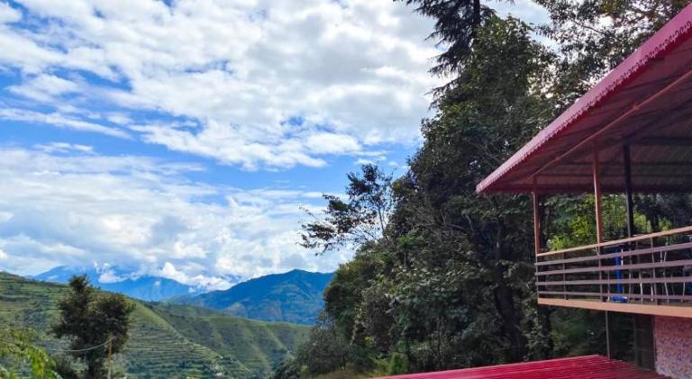 Chakrata green hotel and camping — photo 3