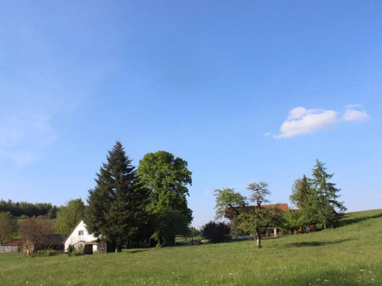 Ferienwohnung Wangen im Allgäu