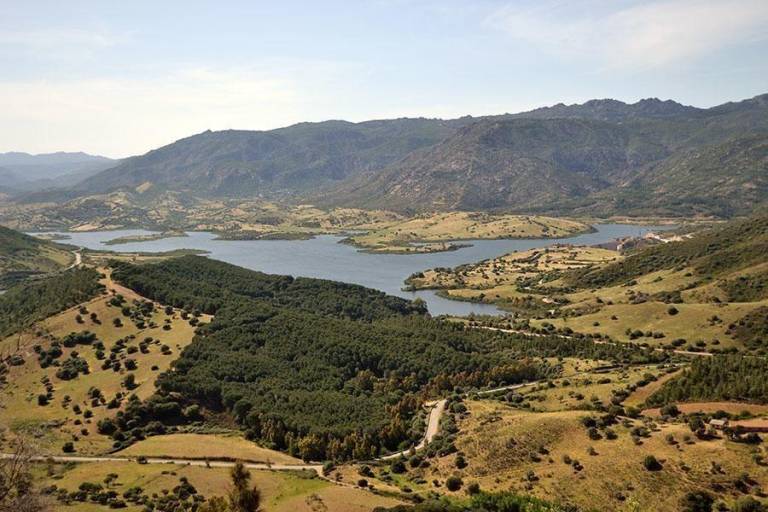 foto42