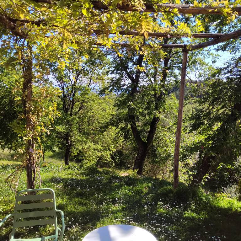 foto38