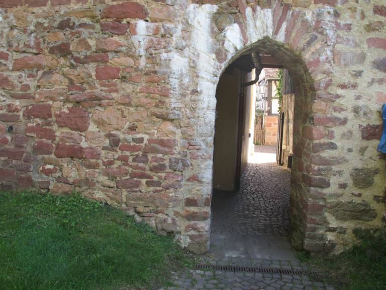 foto19