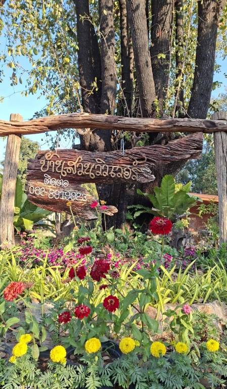 Wonderful house | Dogs allowed in Kanchanaburi
