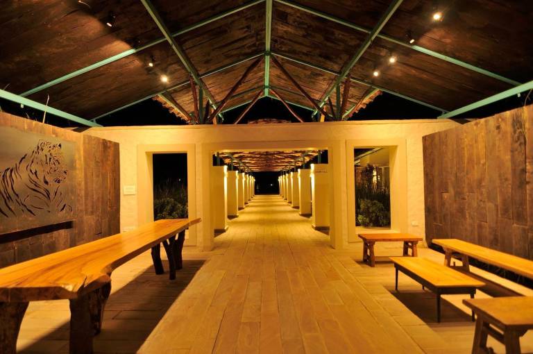 Trees N Tigers Luxury Wildlife Lodge — photo 3