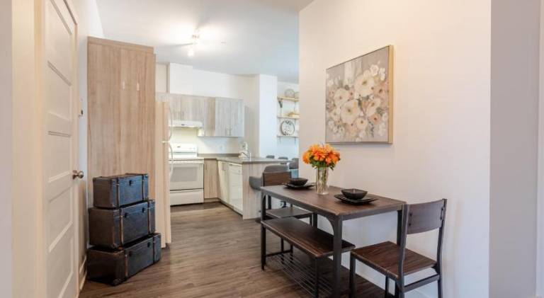 Large Suite in Downtown Montreal — photo 5