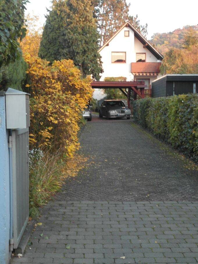 foto1