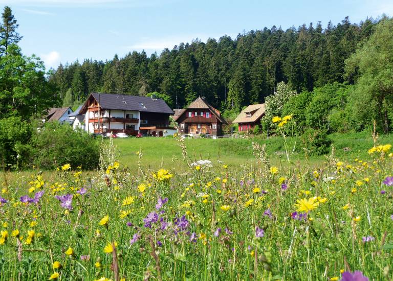 Ferienwohnung in Freudenstadt, Schwarzwald f&uuml;r max. 2 Personen