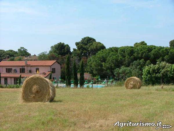Podere Santa Giulia: B di Casale Francianina — photo 5
