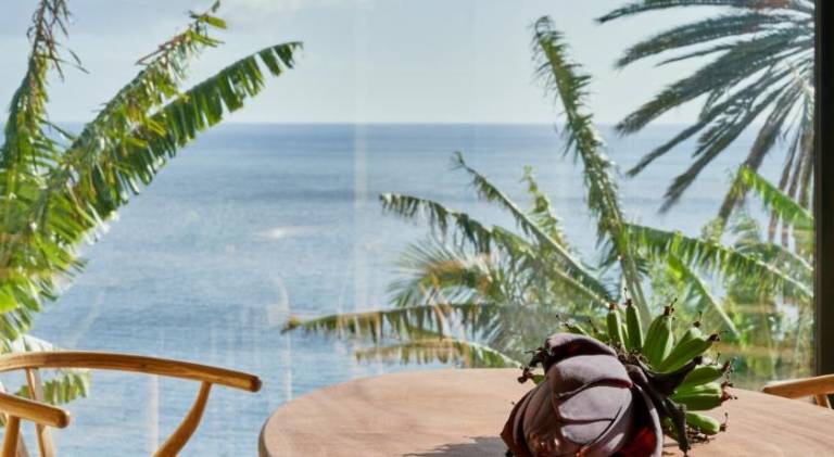 Vacation home with terrace, barbeque & private pool | Next to Fort of São Tiago | Perfect for remote work — photo 5