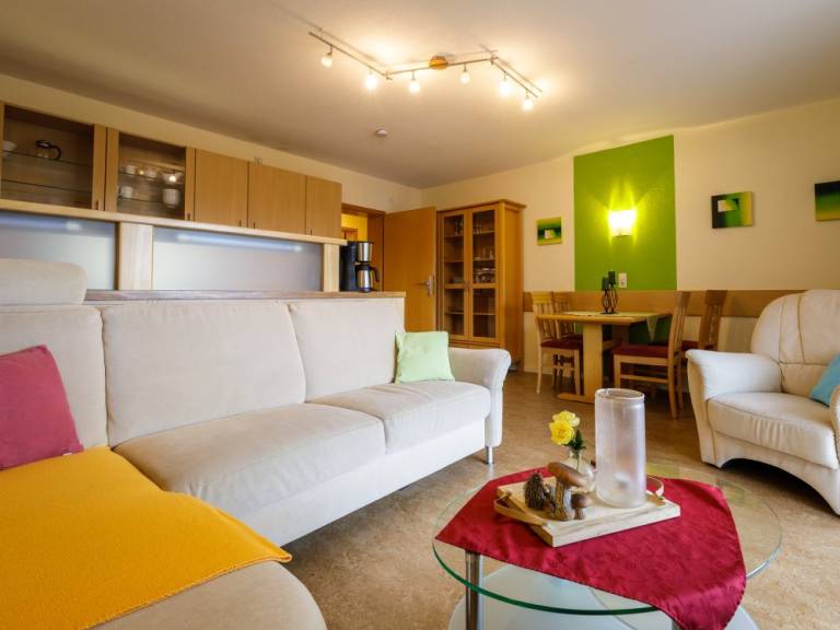 Rental apartment with sauna, terrace & yard — photo 3