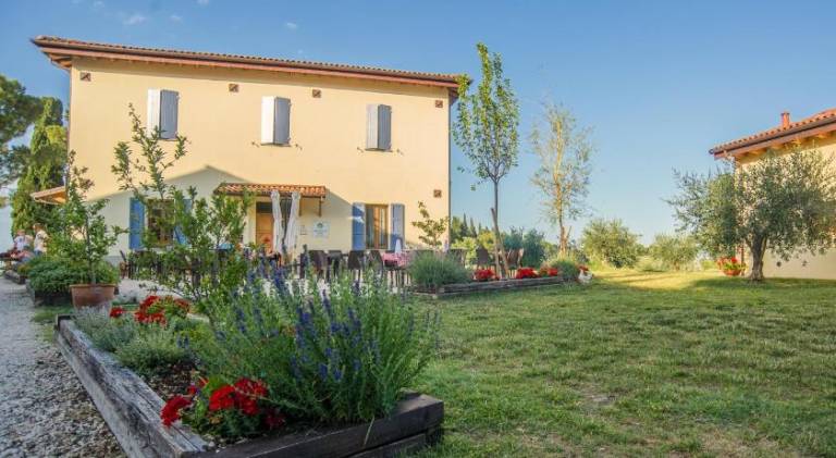 Farm with pool, terrace & yard in Faenza