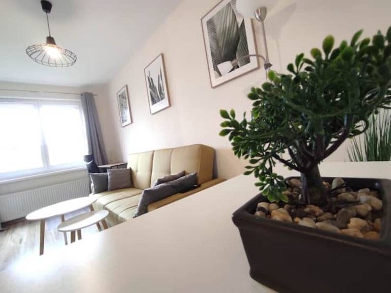Apartament Rybnik