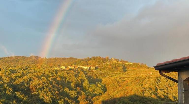 Apartma Collio