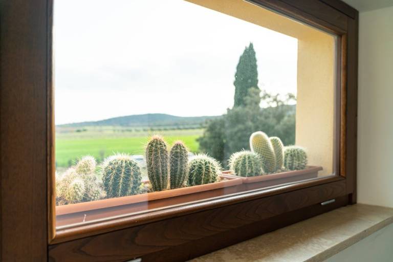Agriturismo Fusini: APPARTAMENTO TORRE CALA DI FORNO — photo 3