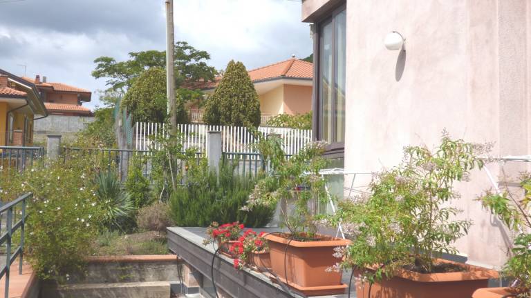 foto11