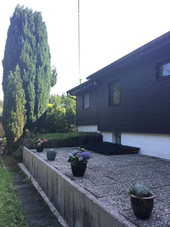 foto2