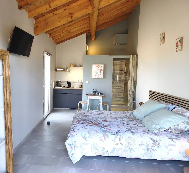 Studio "Private Room, En-Suite Bathroom" with Private Terrace, Wi-Fi and Air Conditioning in Moulins