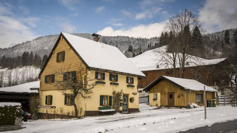 Ferienhaus Abtenau