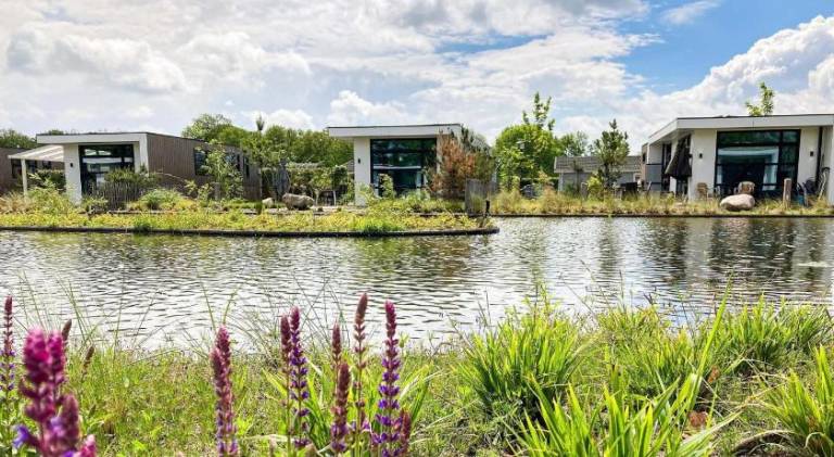 foto41