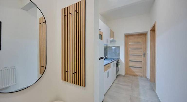 Apartment | Close to Holy Trinity Column | Dogs allowed — photo 4