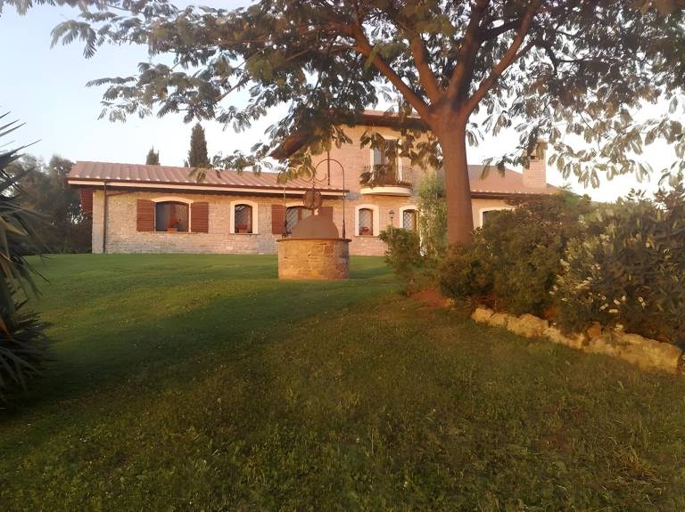foto12