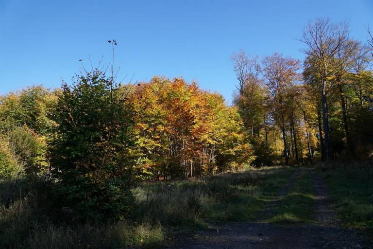foto10