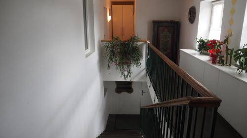 foto6