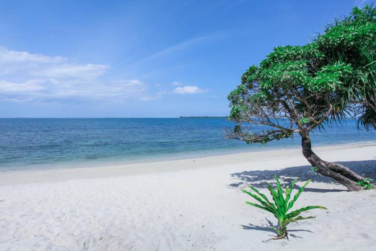 Holiday park  Teluk Bakau