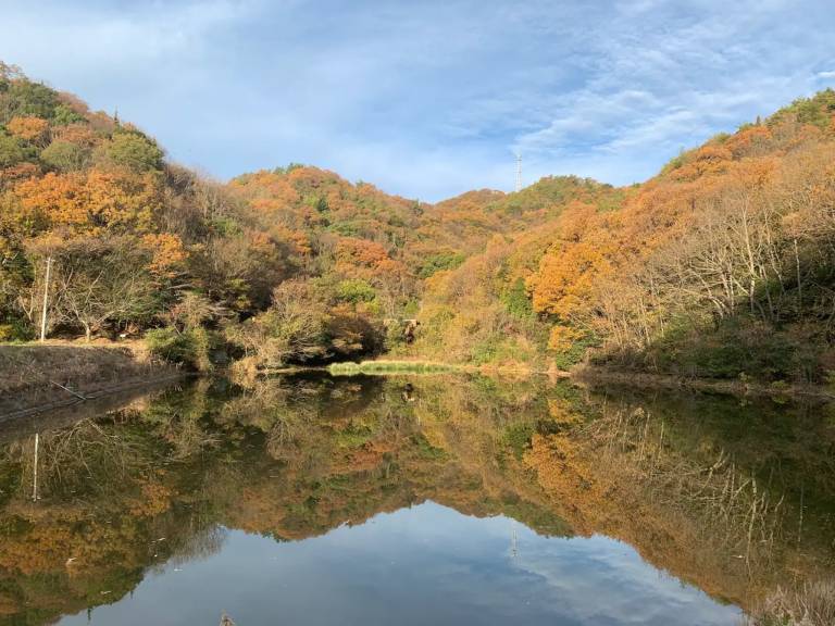foto17