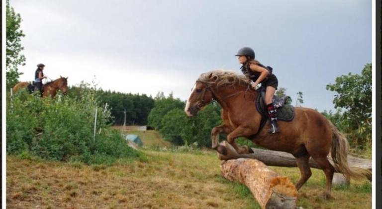 Ranch Calamity Jane — photo 4