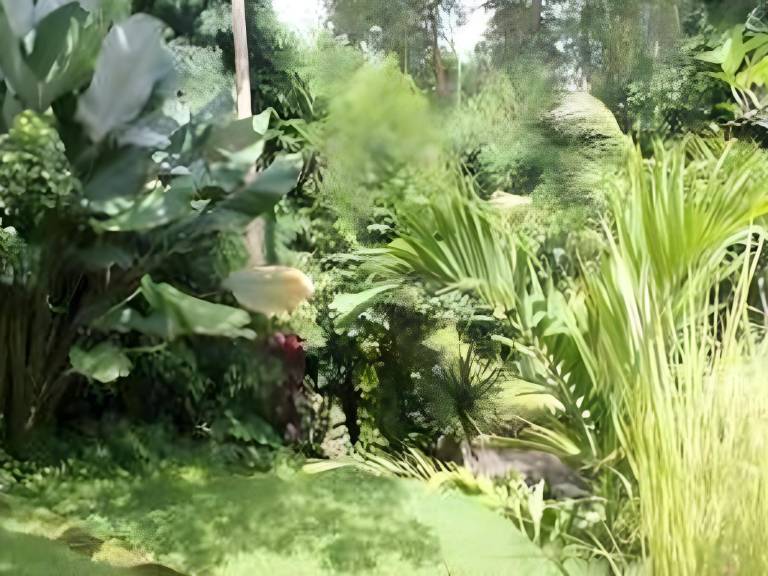 Aji Lodge in Ubud