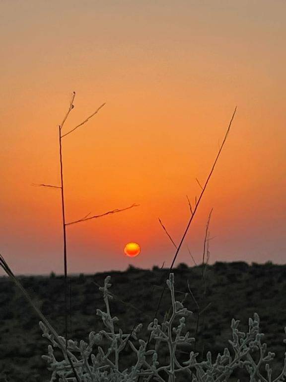 Hotel Kings Villa Jaisalmer in Jaisalmer