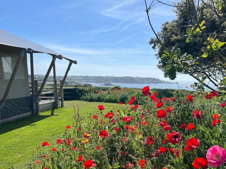 Cabin  Guernsey