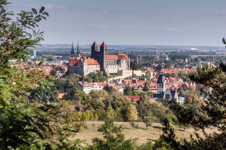 foto22