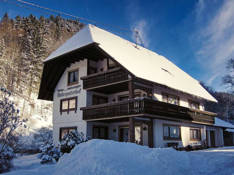 foto2