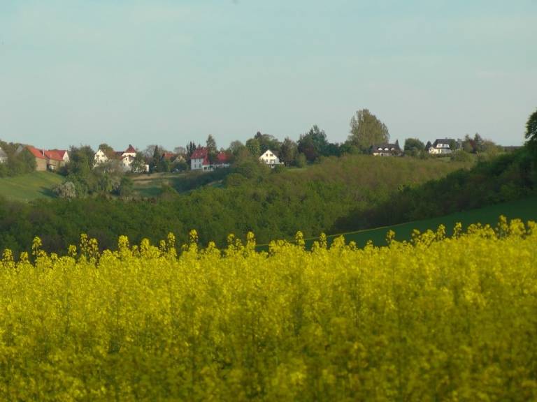foto23