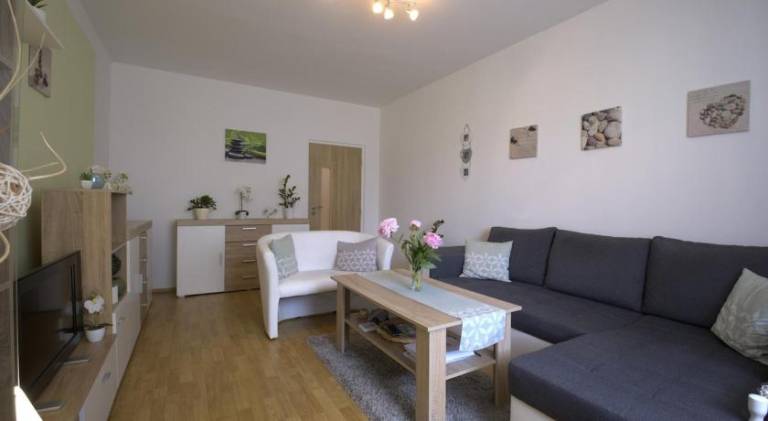Rental apartment | Dogs allowed in Karlovy Vary