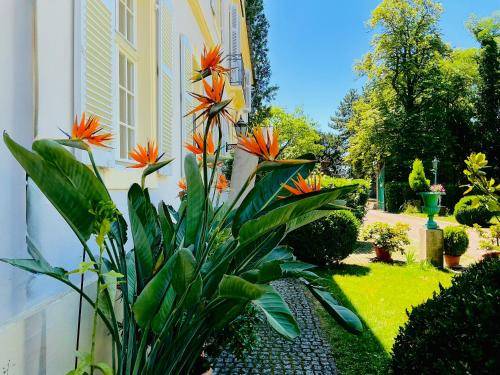 Ferienwohnung  Breisach am Rhein