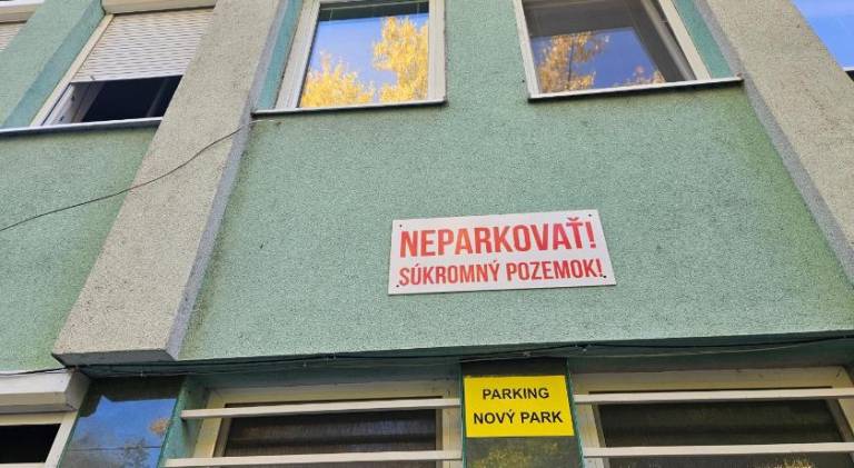 Apartment | Pet-friendly — photo 2