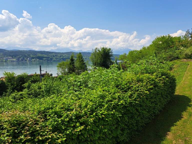 foto22
