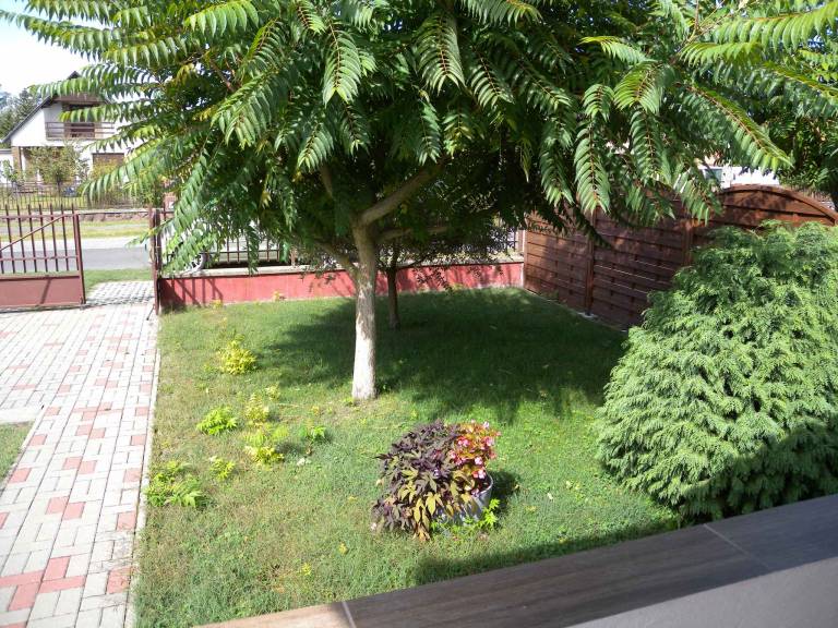 foto6