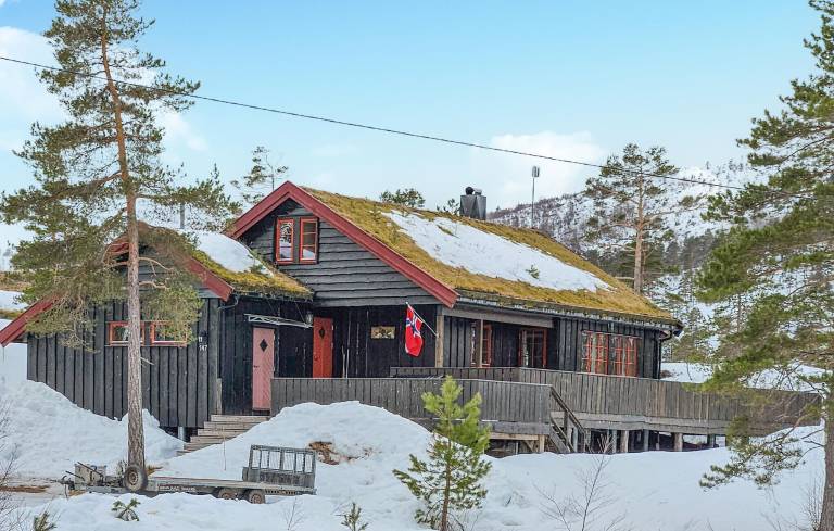 Feriehus  Åseral