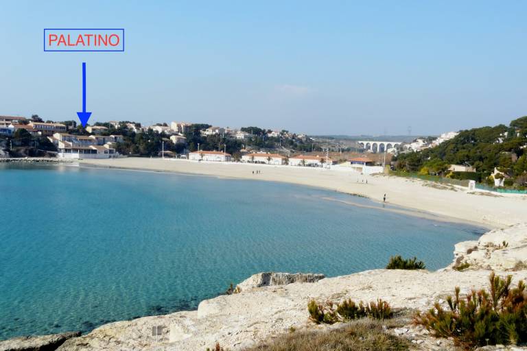 Palatino N&deg;1