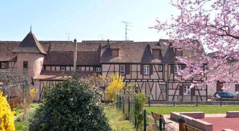 Le Millesime Gite de Charme classe 4 etoiles sur les remparts - Animaux de compagnie acceptes in Riquewihr